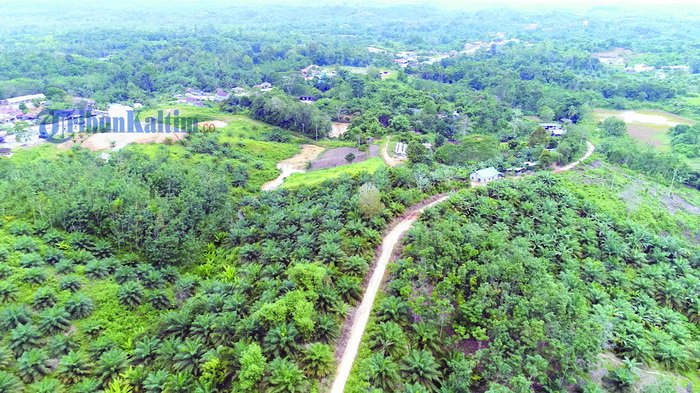 Kawasan Sotek, Kabupaten Penajam Paser Utara, Kalimantan Timur,  dilihat dari udara.